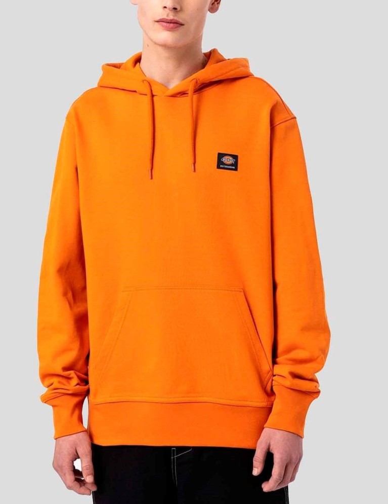 Sudadeira DICKIES mount vista hoodie burnt orange